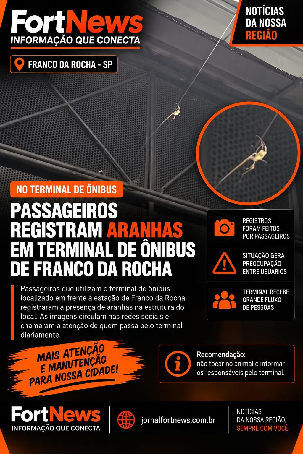 Passageiros registram aranhas em terminal de ônibus próximo à estação de Franco da Rocha