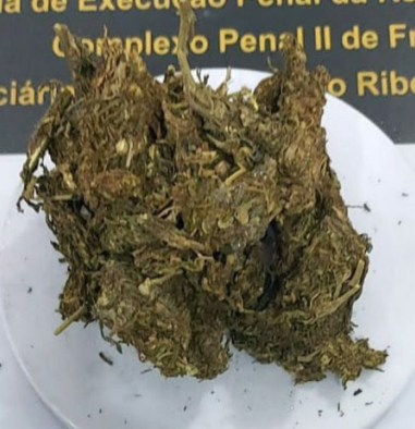 Visitante é flagrada tentando entrar com entorpecentes na Penitenciária III José Aparecido Ribeiro