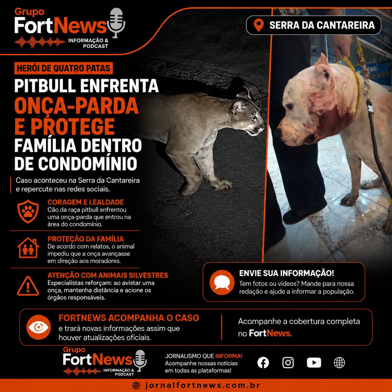 🐕 Pitbull enfrenta onça-parda e protege família em condomínio na Serra da Cantareira