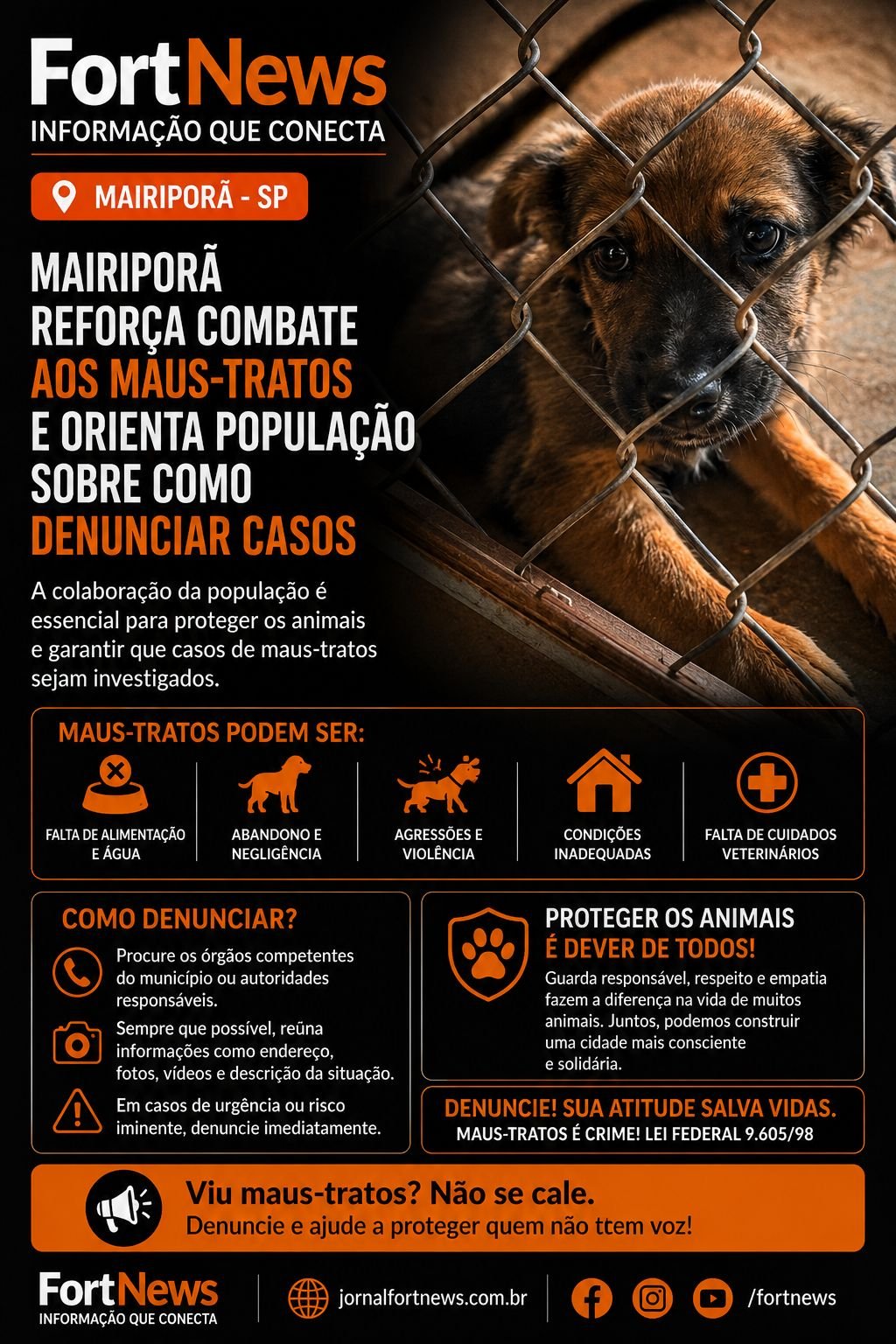 Mairiporã reforça combate aos maus-tratos contra animais e orienta população sobre denúncias